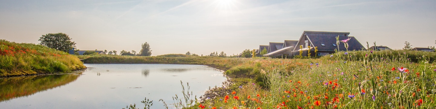 Foto zijaanzicht van het dorp Buitenpost aan het water