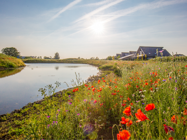 Foto zijaanzicht van het dorp Buitenpost aan het water