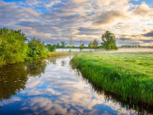 Foto van fietser in een natuurgebied bij het dorp Buitenpost
